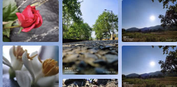 Photography Portfolio